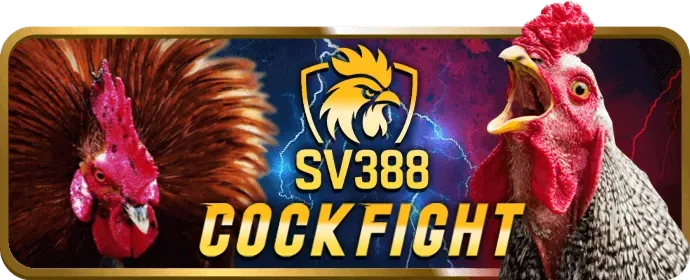 Hỗ Trợ Khách Hàng 8888vi